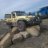 Steve_3e4153