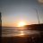 Rose_279d91