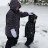 Shannon_d07498