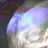 lightsong_1369