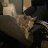 jacob_cd7922