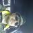 Chris_d70263