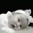 mohsen_c581ac