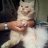 raja_63ddba