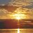 Thelonelyplant_6d201d
