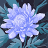 Elian_61786e