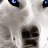 Jose_b1d032