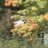 Phil_019199
