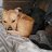 Jessica_77366b