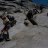 Toby_5a3735