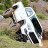 Chase_6132fc
