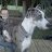 Katelyn_902413