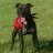 David_c13868