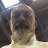 Steven_ef3cd8