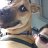 Irving_2c5915