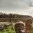 Martin_fbe592