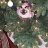 adam_4dacdb