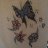 Francelina_5b5909