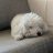 Carrie_25f88c