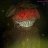 Fred_7d0ede
