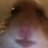Guilherme_2486cb