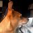 wes_3ba611