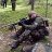 Slobodan_4ce31e