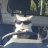 Billi_ef3900