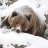 Jacob_f7069a