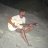 Darren_947253