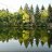Ratrepode_8febe8