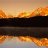 Jackie_856b48