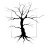 John_f2999d