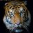 Antonio_e65884