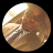 David_6af55c