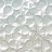 Charles_858040