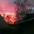 Danielle_a48253