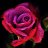 Kevin_c8635d