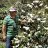 Gilberto_0e514f