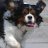 David_7419ba