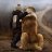 Rodrigo_169d74