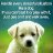 Lina_05174d