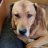 Armin_bbd41c