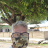 lauro_3d11de