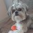 Ricardo_09131e