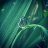 Jessica_891437