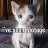 Charlotte_8939a8