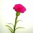Mohammad_932322