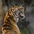 AndY_d64232