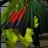 Gera_ed7ef6